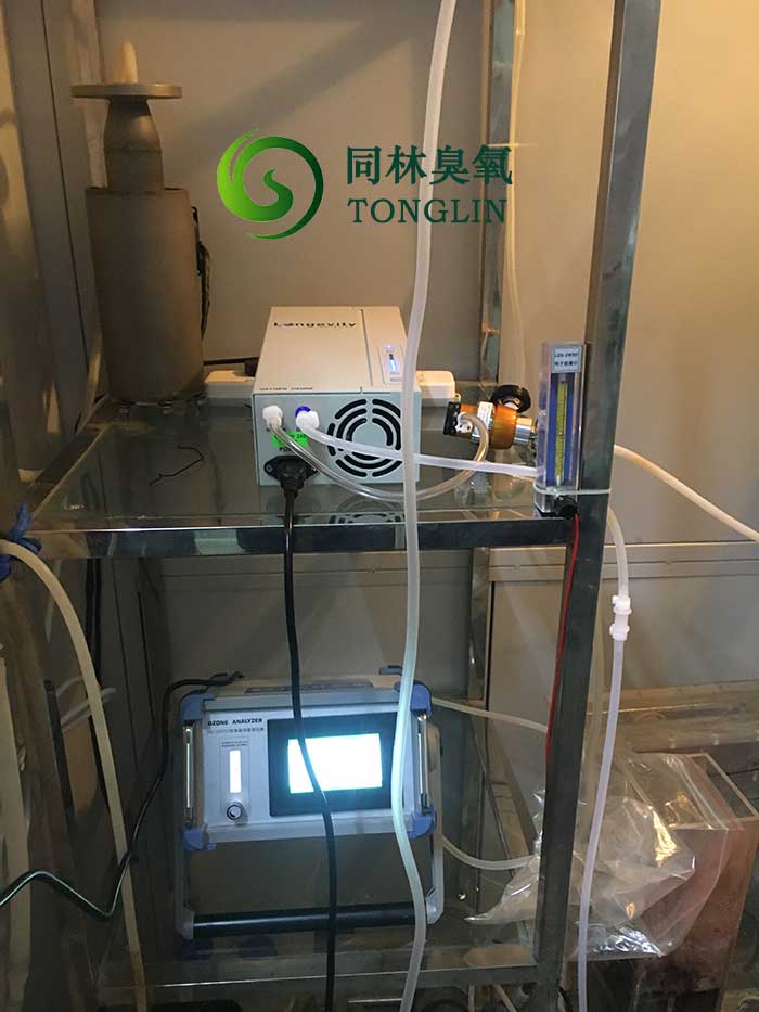 进口Longevity 快猫社区APP成人官网发生器