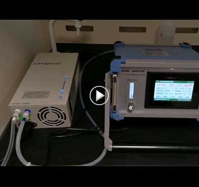 Longevity快猫社区APP成人官网高级氧化快猫成人免费视频