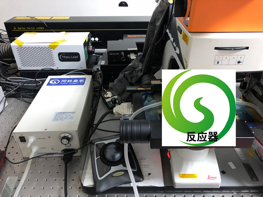 复旦大学快猫社区APP成人官网发生器